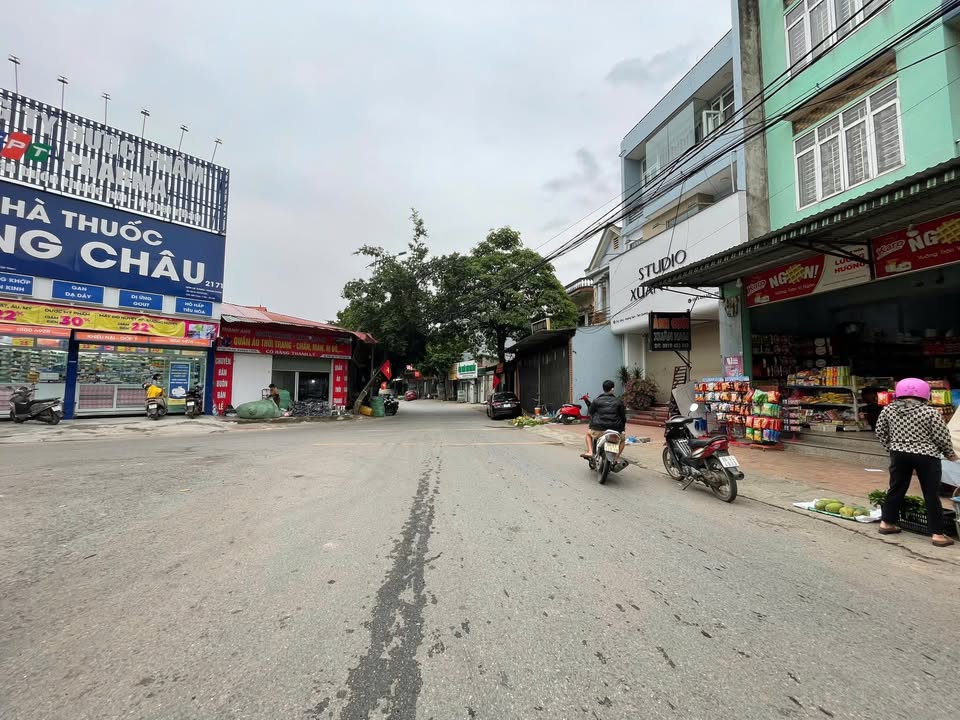 Bán đất Chợ Vàng, Hoàng Đan, Tam Dương 166m² giá 1.2 tỷ - Vị trí tuyệt đẹp cho đầu tư!