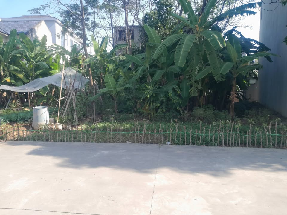 Đất nền Tân Dân, Việt Trì 124m² giá thỏa thuận - Vị trí đẹp, trung tâm tỉnh!