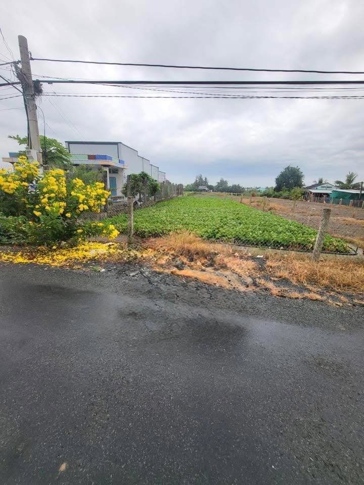 Đất nền Sơn Qui, Gò Công 620m² giá 1.8 tỷ - Đầu tư sinh lời ngay!