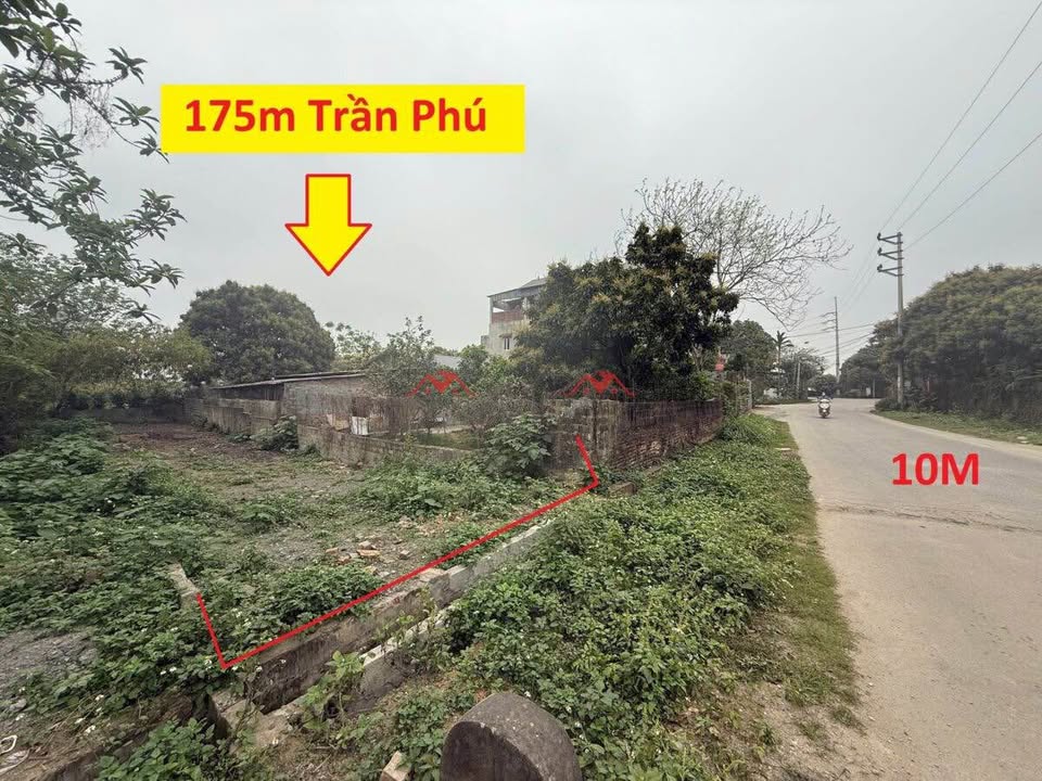 Đất nền mặt đường Trần Phú Hà Đông 175m² giá 2 tỷ - Đầu tư sinh lợi ngay!