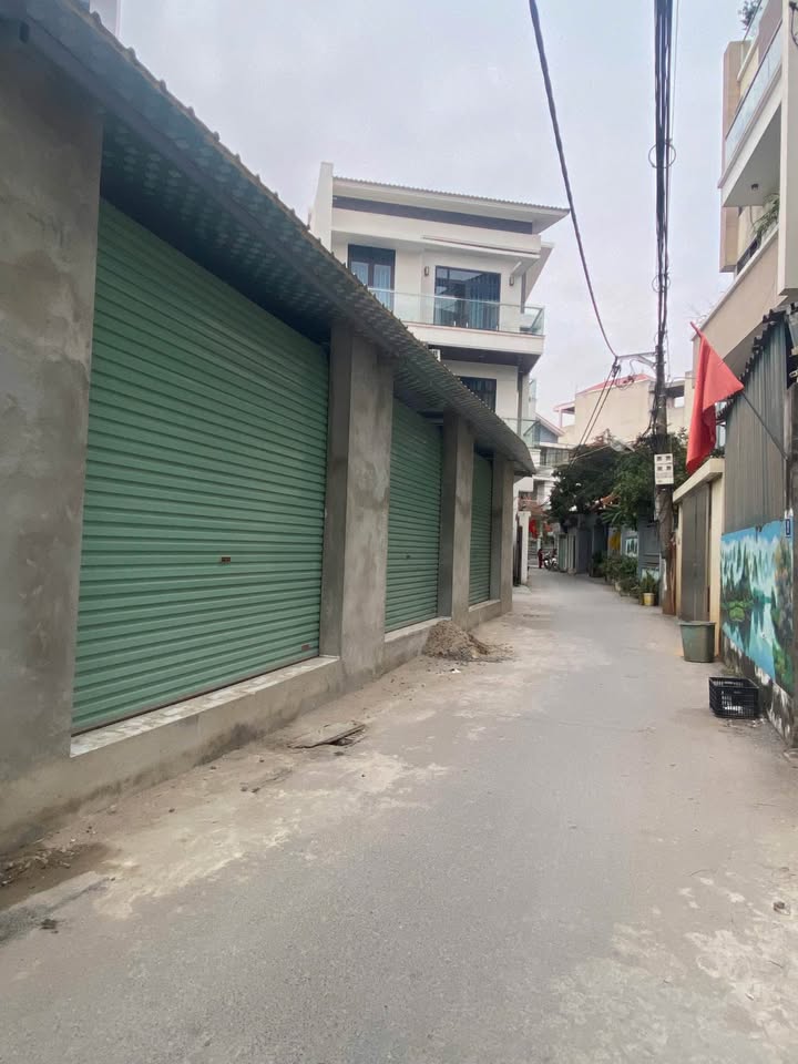 Đất mặt đường kinh doanh Liên Hà Đan Phượng 100m² - Đầu tư sinh lời ngay!