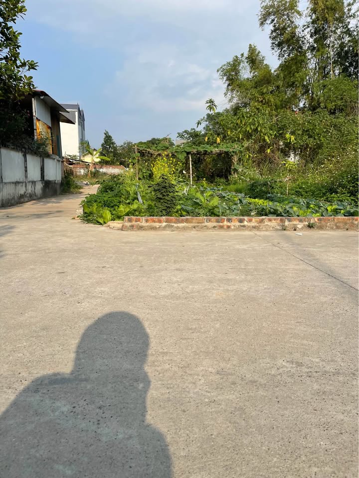 Đất Bắc Thượng - Quang Tiến 63m² giá 2 tỷ - Lô góc 2 mặt thoáng, phong thủy đẹp!