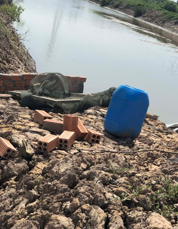 Đất nền 320.000m² tại Cồn Cù, Trà Vinh - Giá chỉ 11 tỷ, thích hợp cho đầu tư!