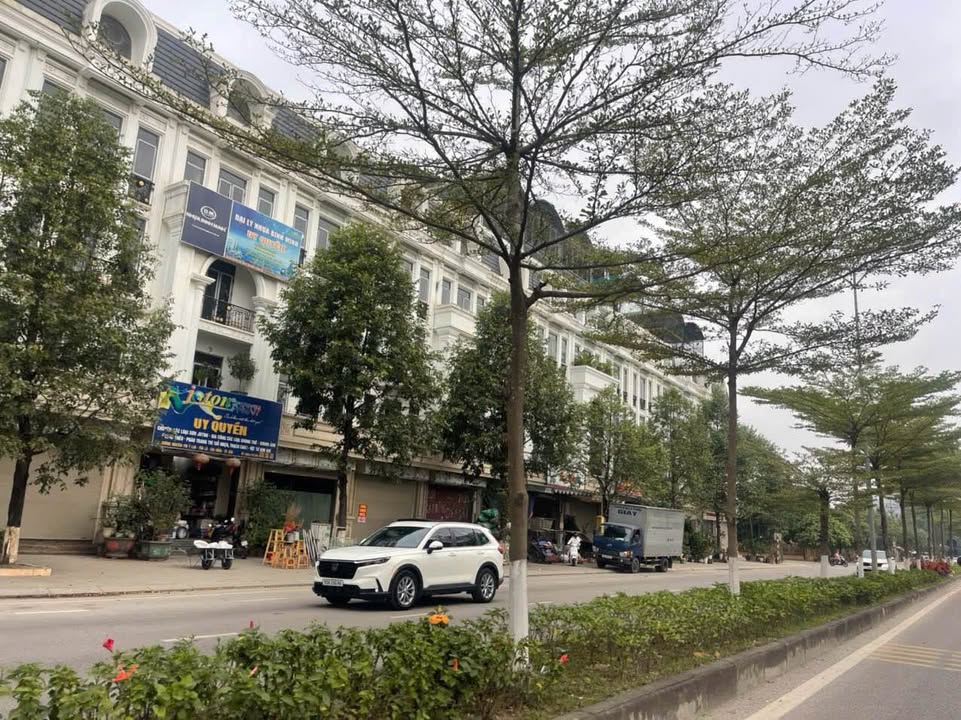 Đất nền Tân Hồng, Từ Sơn 150m² giá 20 tỷ - Lô góc hiếm có, hướng Đông Nam!