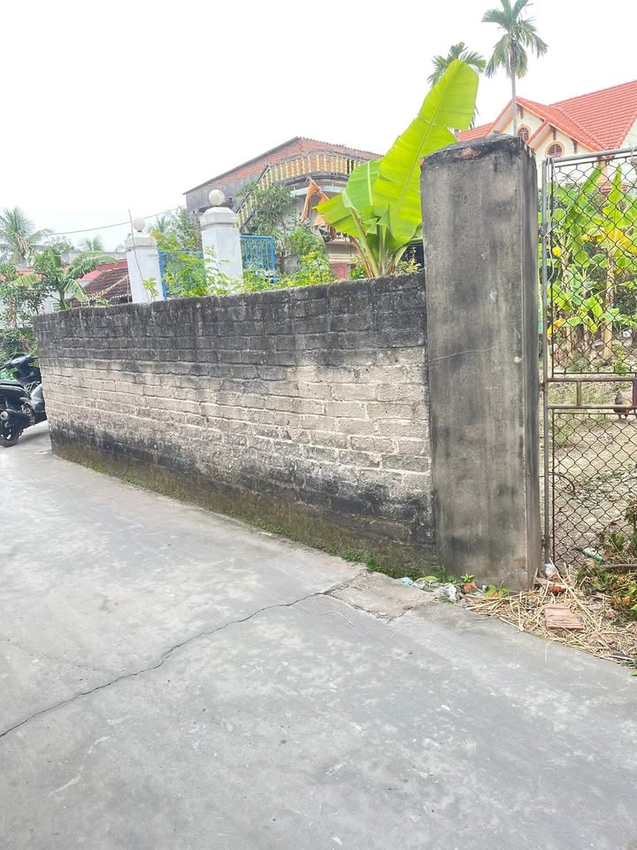 Đất nền Thôn Thượng Đỗ, Kim Thành 346m² giá 2 tỷ - Pháp lý rõ ràng, đầu tư tiềm năng!