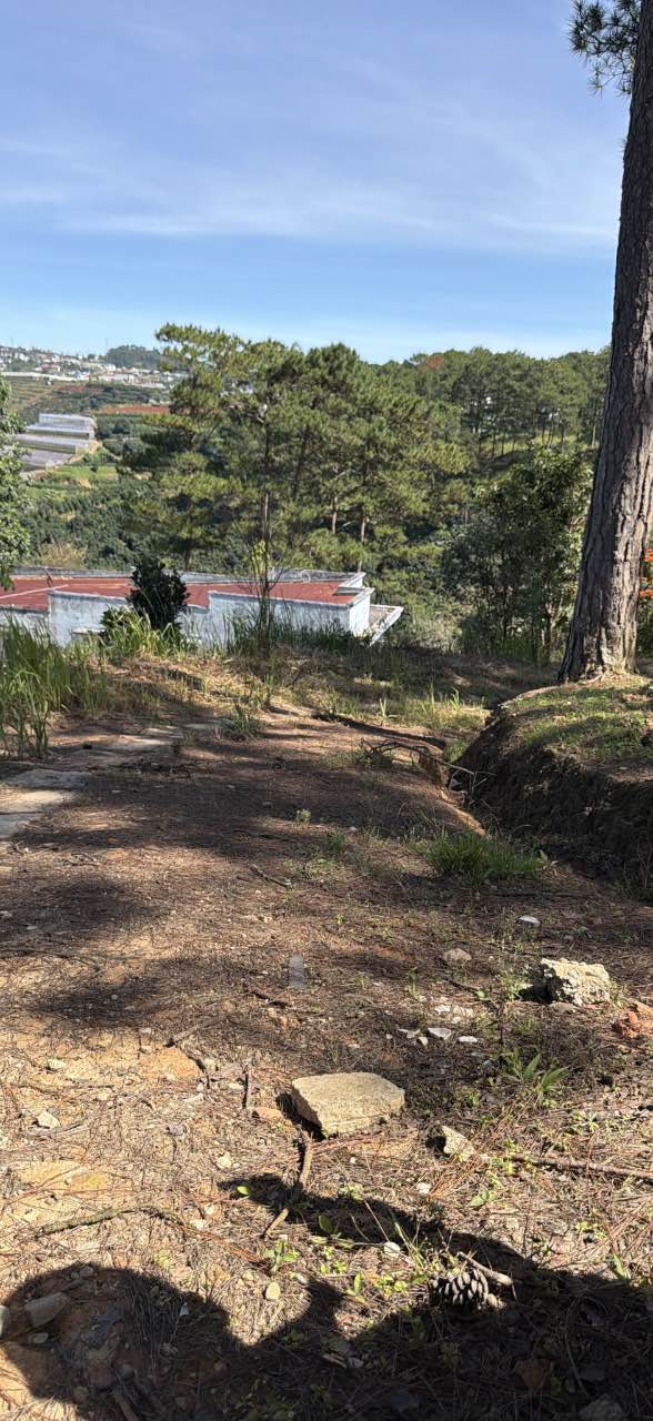 Nhà bán phường Xuân Trường Đà Lạt 260m² giá 5.5 tỷ - Sổ đỏ chính chủ, ô tô vào tận nơi!