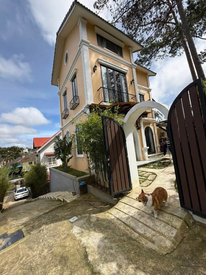 Villa sân vườn Đà Lạt 1.140m² giá 30 tỷ - Bán gấp cho khách thiện chí!