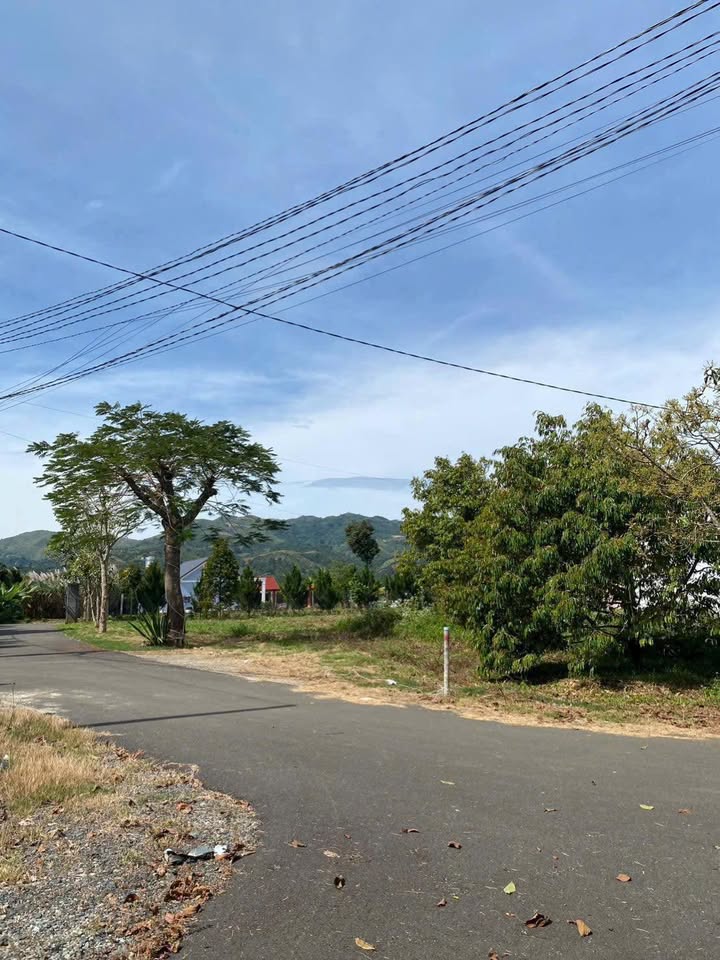 Đất Lộc Thành Bảo Lộc 136m² giá 900 triệu - Pháp lý rõ ràng, đầu tư sinh lời!