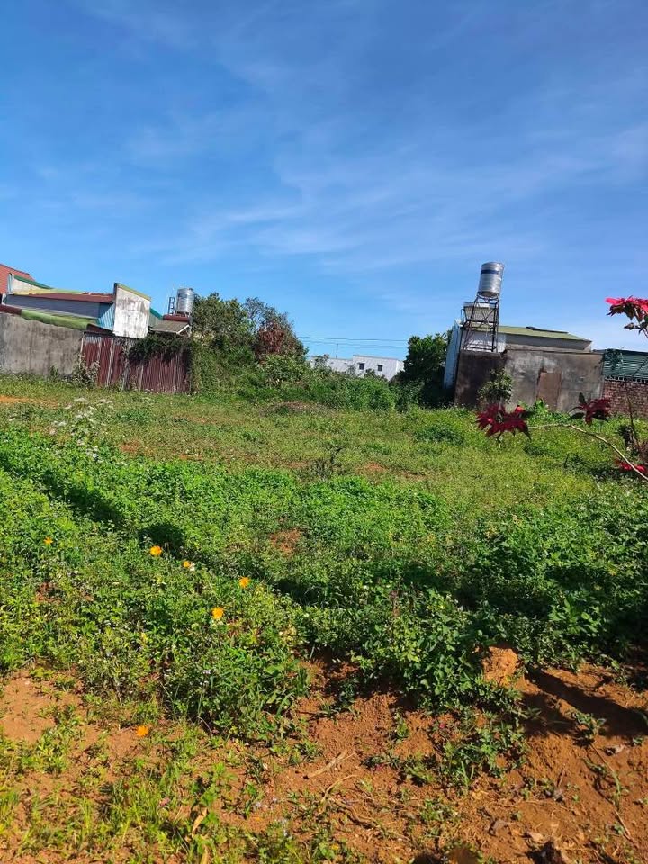 Đất thổ cư 300m² tại Lộc Thắng, Bảo Lâm - Giá chỉ 1.25 tỷ VND, cơ hội hiếm có!