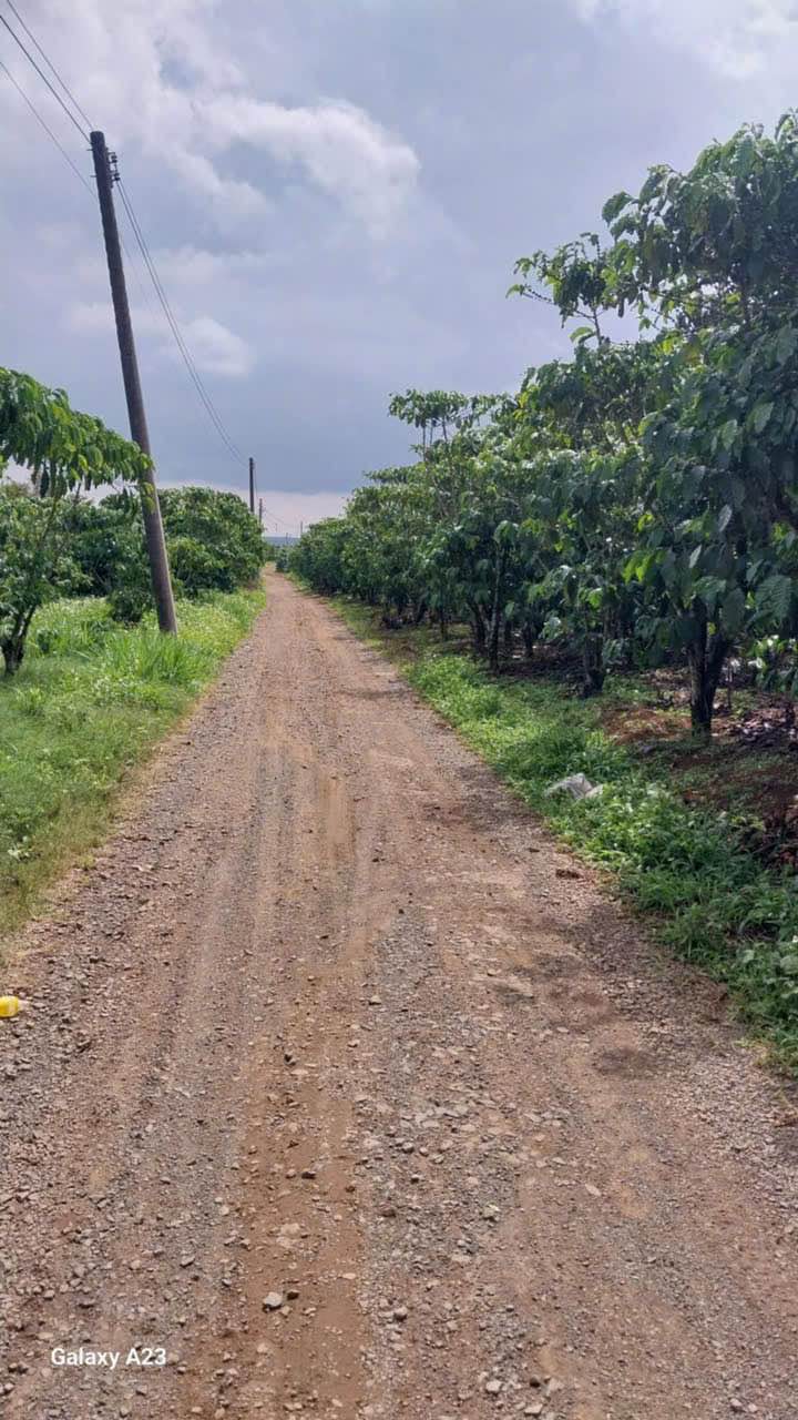 Đất thổ cư Thôn 10 Lộc Ngãi Bảo Lâm 360m² giá 1.2 tỷ - Đường ô tô vào tận nơi!