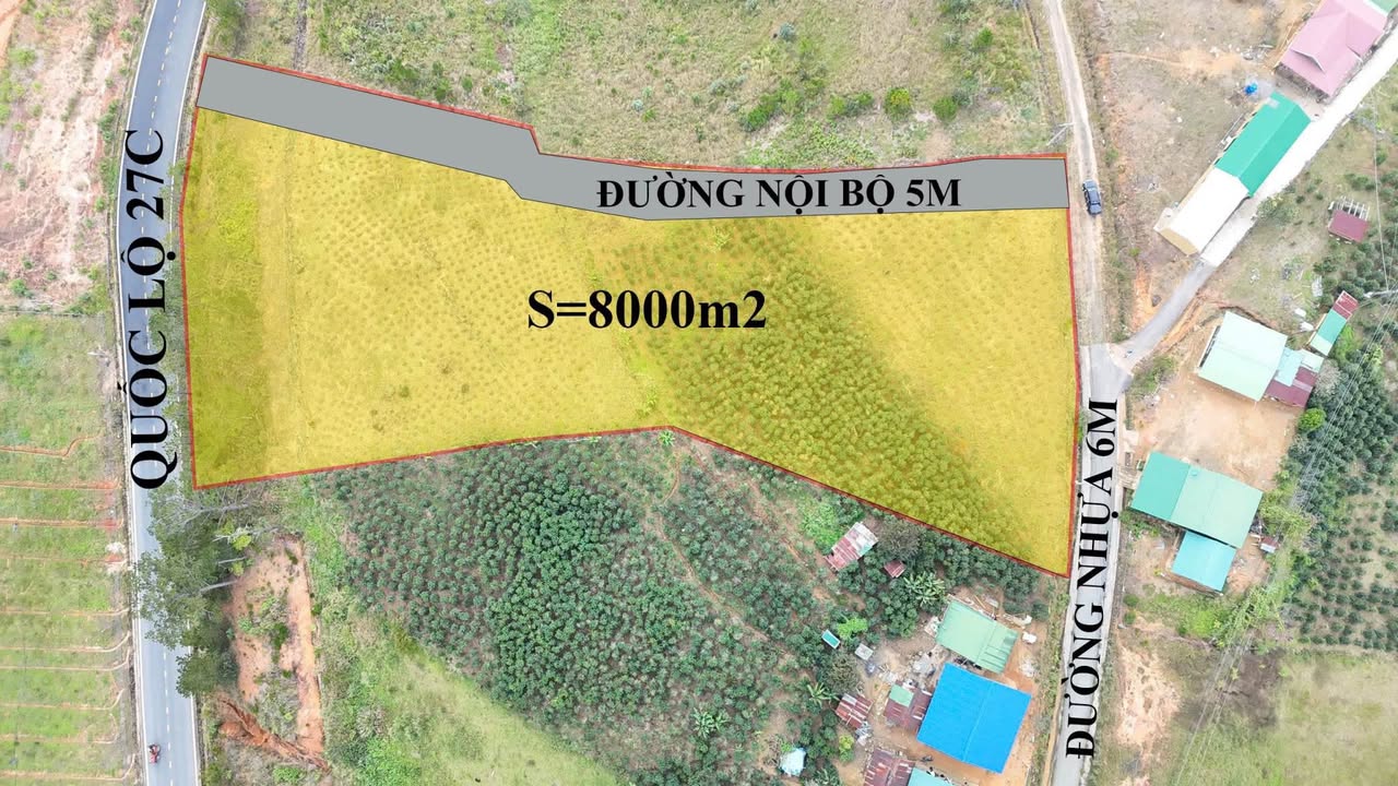 Đất quy hoạch Thương mại dịch vụ Lạc Dương 8000m² giá 2.2 tỷ - Pháp lý đầy đủ, vị trí đắc địa!