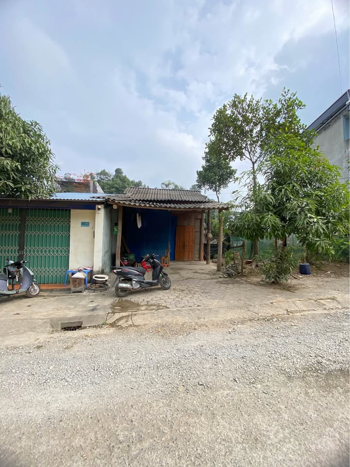 Đất nền đẹp Đàm Quang Trung, Lào Cai 90m² giá 1.7 tỷ - Cơ hội đầu tư hấp dẫn!