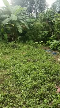 Lô đất vườn Củ Chi 530m² giá 2.55 tỷ - Đầu tư sinh lời ngay!