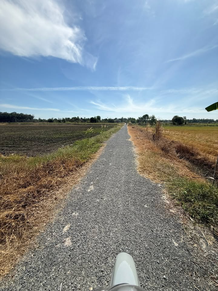 Đất cây xoài Gò Dầu 60.000m² giá 4.5 tỷ - Cơ hội đầu tư hấp dẫn!