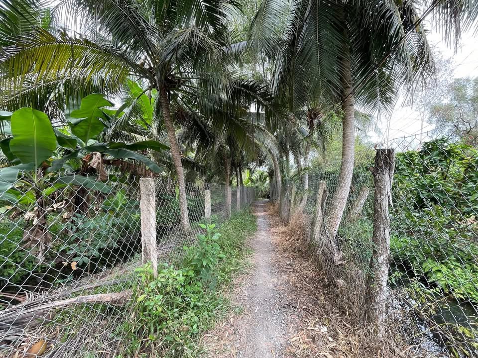 Đất vườn 1.999m² xã Long Định, Tiền Giang - Giá chỉ 1.29 tỷ!