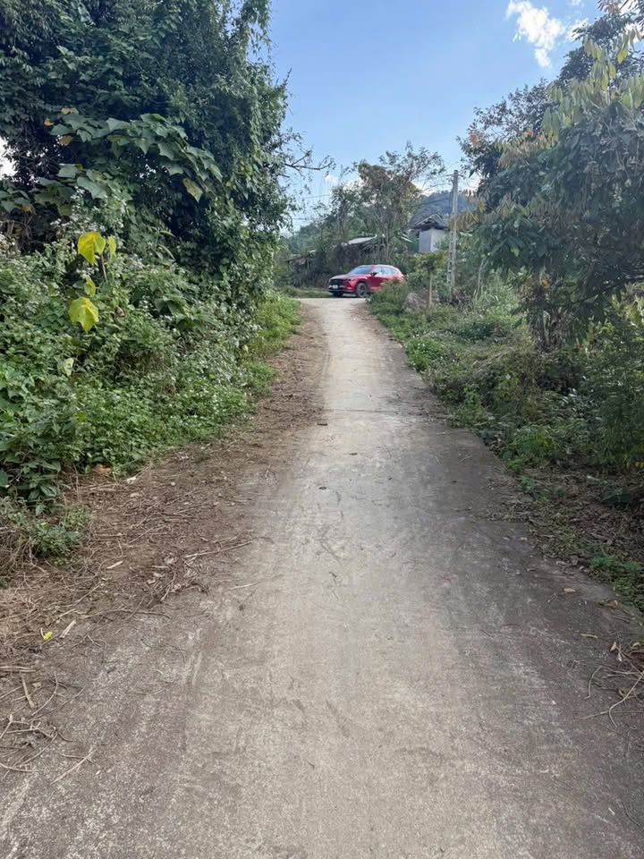 Đất phiêng Luông Mộc Châu 3000m² giá 700 triệu - Đầu tư sinh lời ngay!