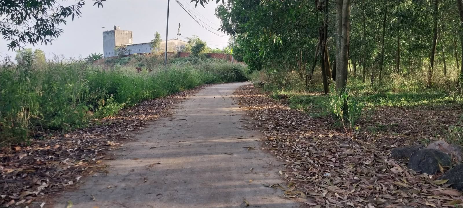 Đất nền xã Sông Thao, Trảng Bom 1300m² giá 1.05 tỷ - Mặt tiền 6m, đầu tư sinh lời!