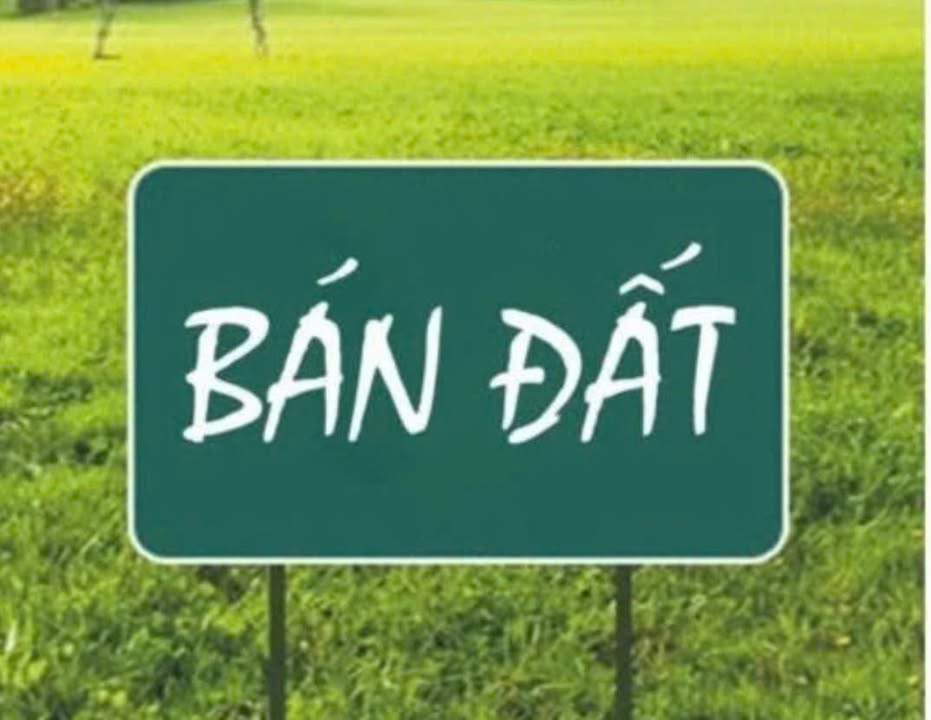 Đất mặt tiền kinh doanh Đinh Tiên Hoàng, Vĩnh Yên 202m² giá 8 tỷ - Cơ hội đầu tư hiếm có!