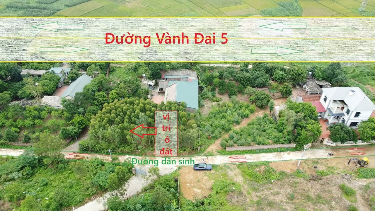 Đất nền thổ cư Minh Quang, Vĩnh Phúc 200m² chỉ 5.XX triệu - Cơ hội đầu tư tuyệt vời!