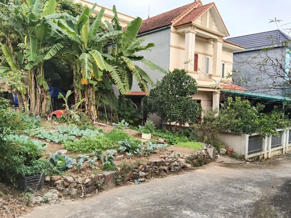 Đất nền Lập Thạch Vĩnh Phúc 126m² giá 1.8 tỷ - Đầu tư sinh lời hấp dẫn!