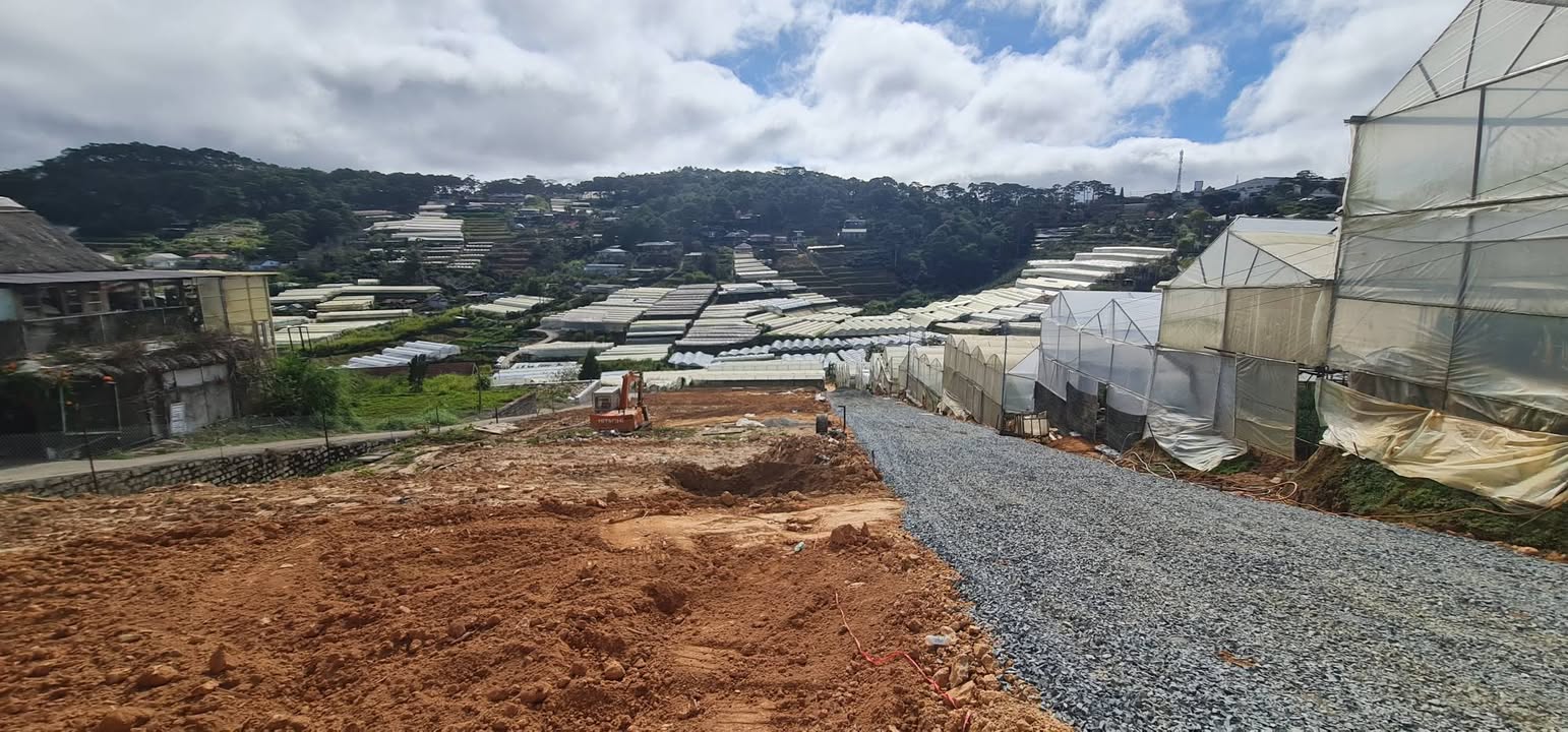 Đất nền xây villa nghỉ dưỡng Đà Lạt 240m² giá 7.5 tỷ - Đầu tư lý tưởng!