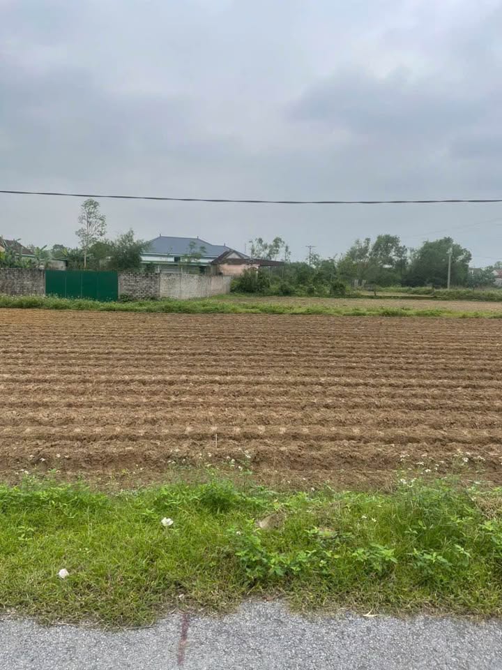 Đất 2 mặt tiền Thịnh Trường Nghi Lộc 129.8m² giá 1 tỷ - Cơ hội tốt cho đầu tư!