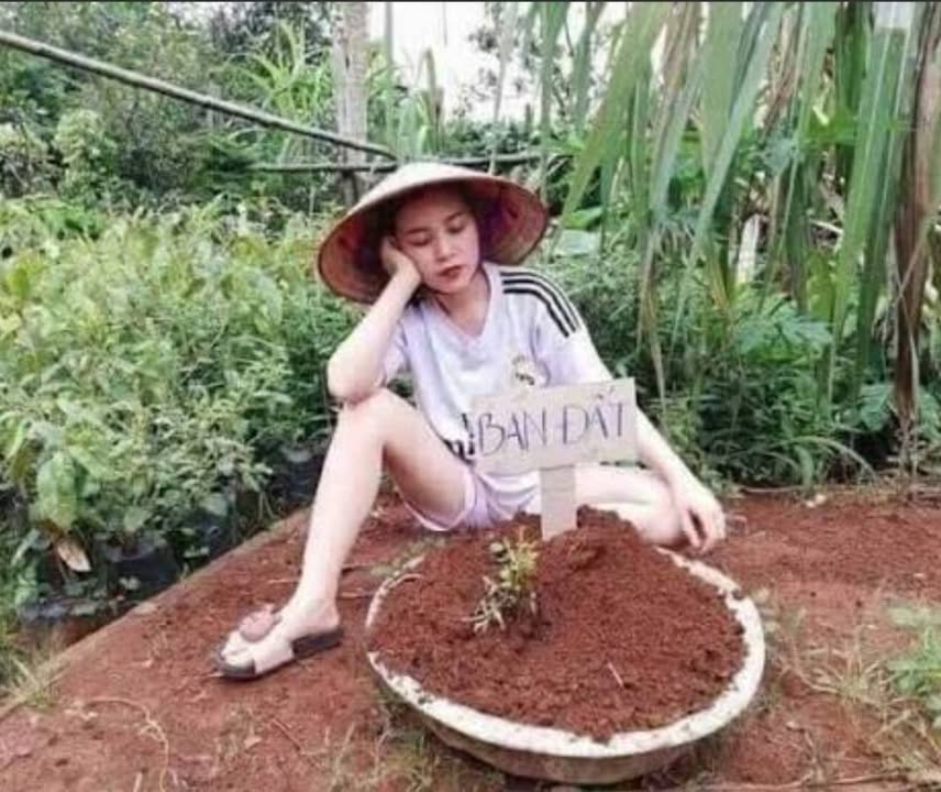 Đất mặt tiền tại Khánh An, Yên Khánh 87m² giá 3 tỷ - Cơ hội đầu tư sinh lời!