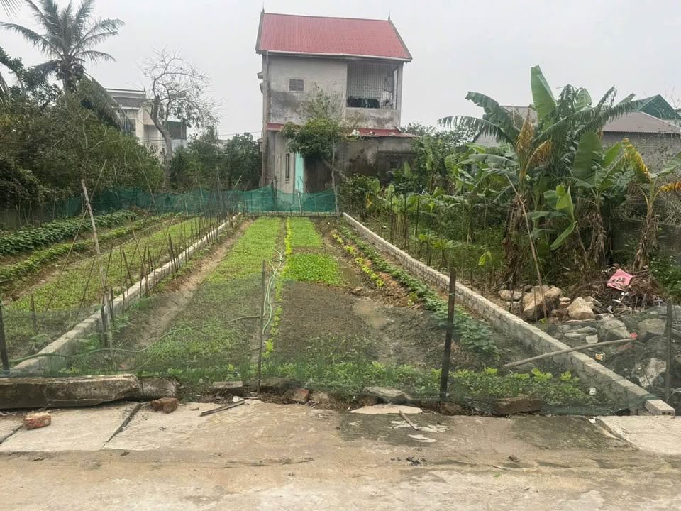 Đất nền đẹp Nghi Kim Vinh 99.8m² giá 2 tỷ - Gần ủy ban và trường học!