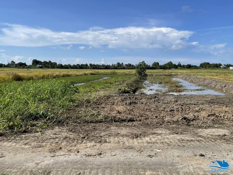 Đất nền Nguyễn Văn Nhị, Rạch Giá 340m² giá chỉ 650 triệu - Nhà vườn lý tưởng!