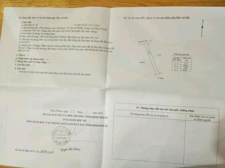 Đất nền Phước Long 295m² giá chỉ 320 triệu - Cơ hội đầu tư hấp dẫn!