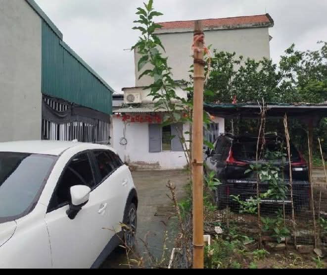 Đất Ninh Sở Thường Tín 45m² giá 4.XX tỷ - Đón sóng VinOlympic ngay hôm nay!