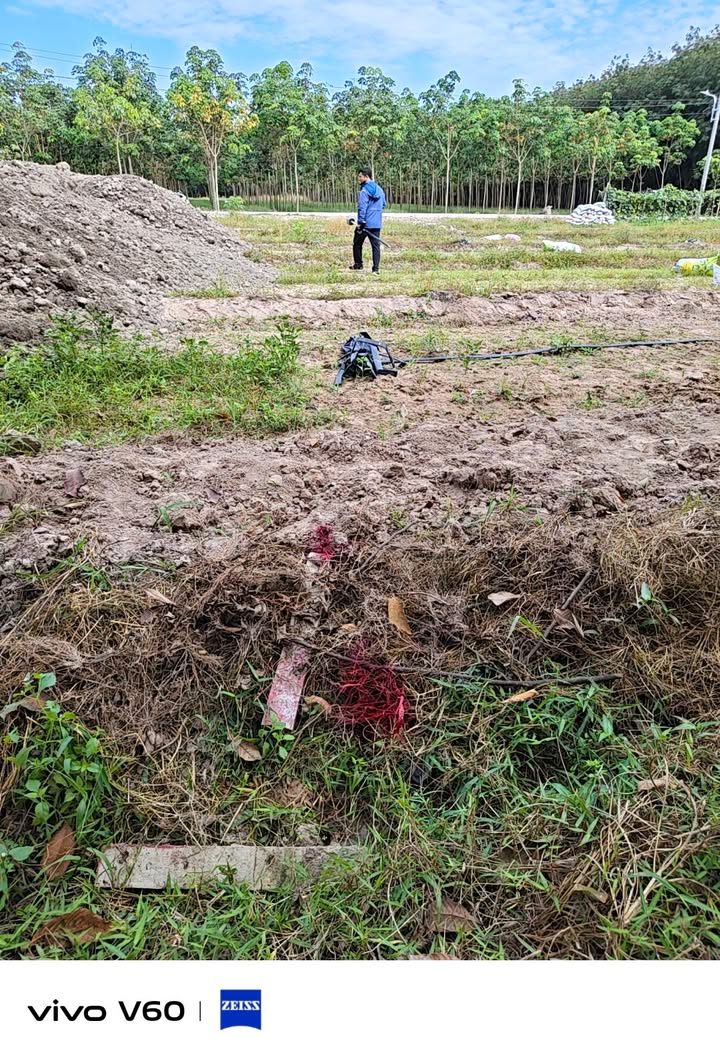 Đất nền Hòa Lợi, Bến Cát, 320m² giá chỉ 600 triệu - Cơ hội đầu tư tuyệt vời!