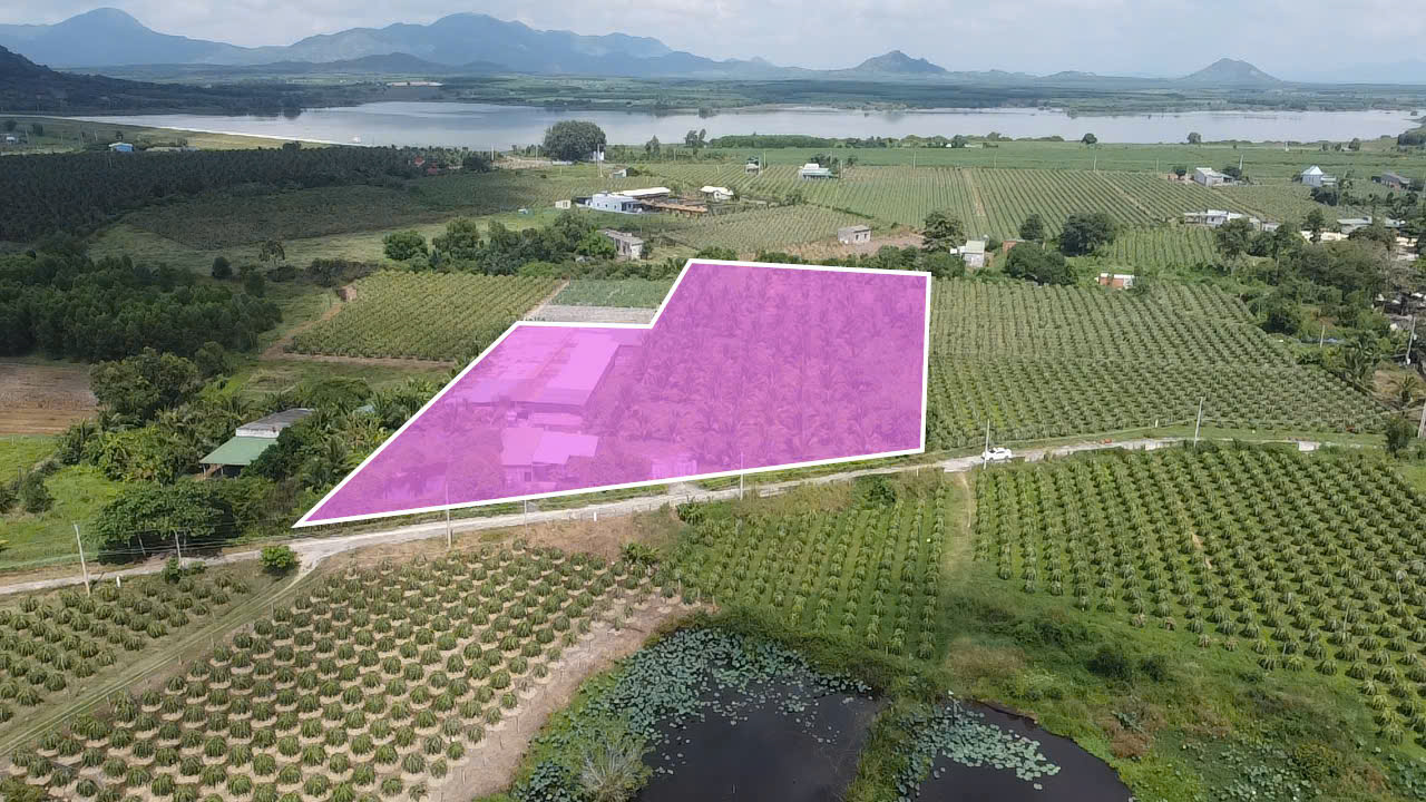 Đất Farm Tân Tiến La Gi 10,950m² giá 5.5 tỷ - Đầu tư sinh lời ngay!