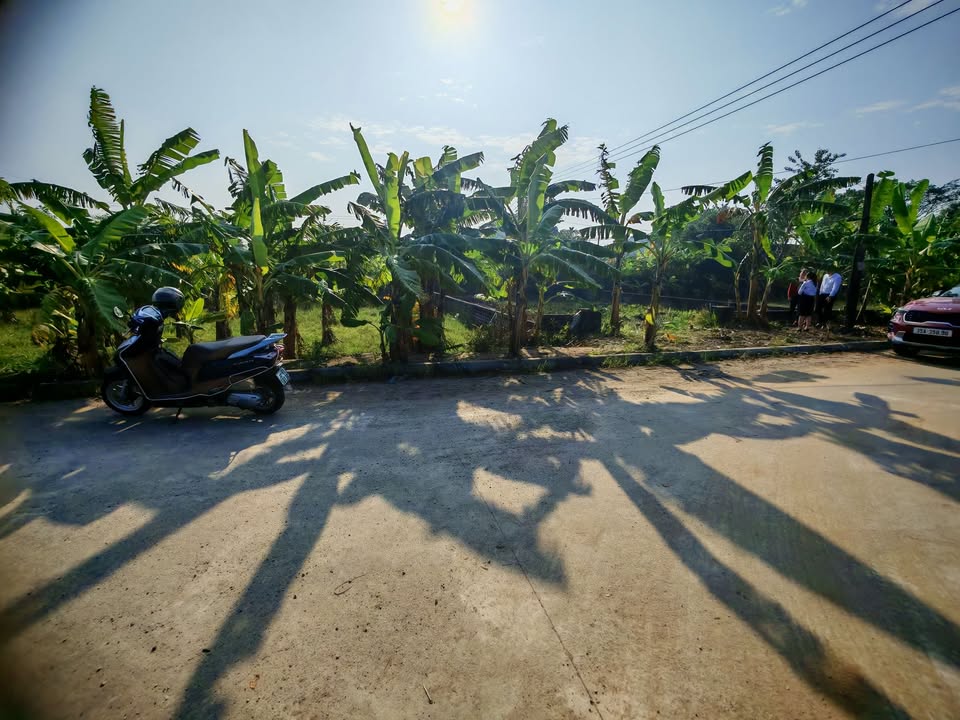 Đất nền liền kề tại Khánh Hòa, Ninh Bình 225m² giá 1 tỷ - Cơ hội đầu tư hấp dẫn!