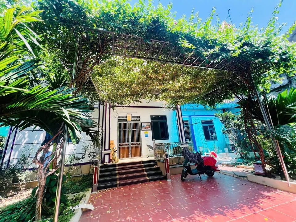 Lô đất Đồng Trúc, Thạch Thất 236m² giá thỏa thuận - Đầu tư đỉnh cao!