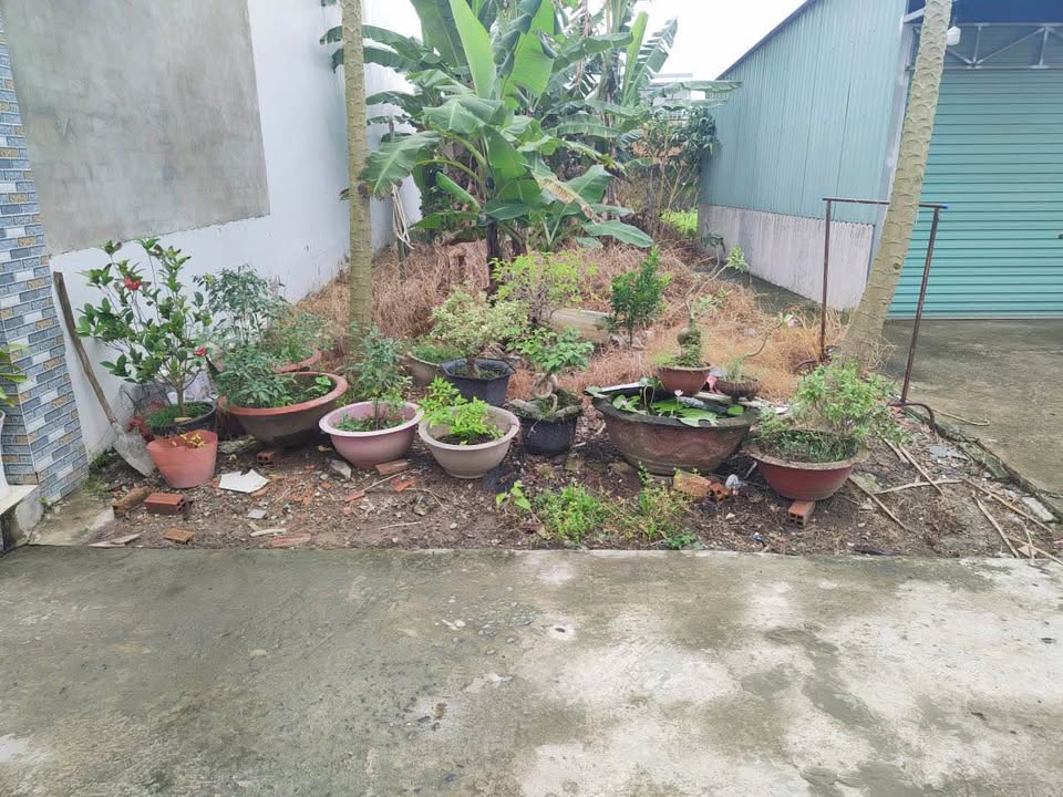 Đất thổ cư phường 8, Bến Tre 106m² giá 1 tỷ - Đầu tư lý tưởng!