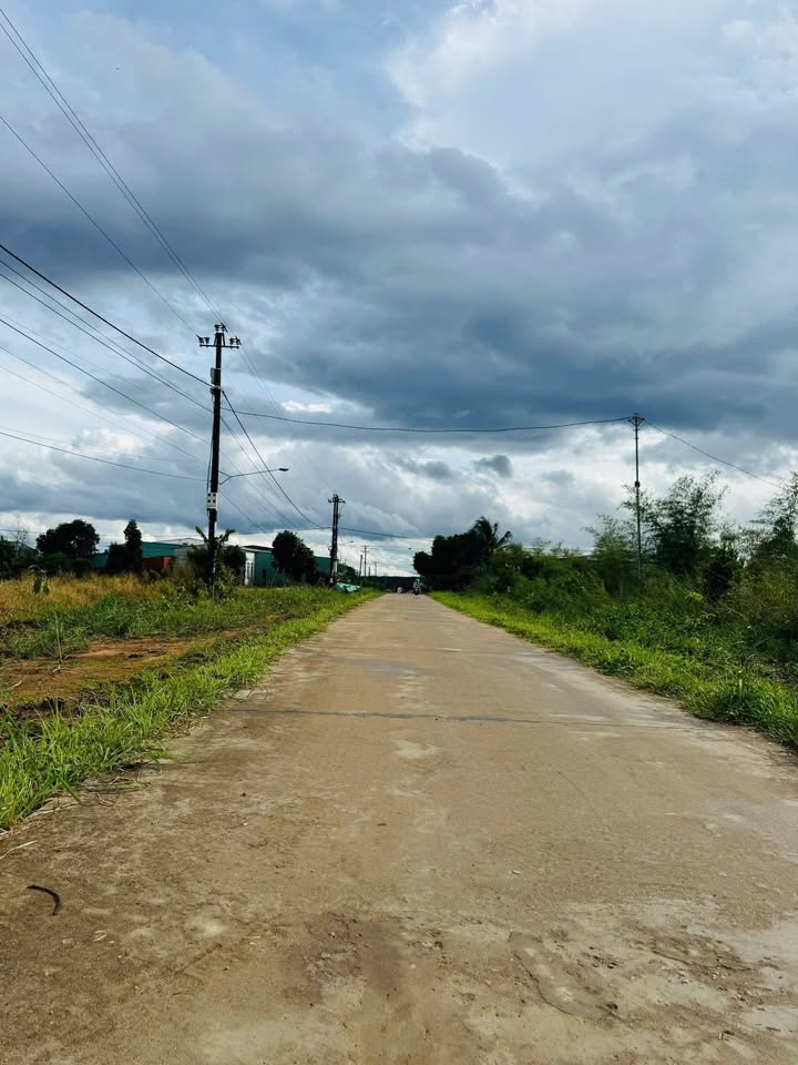 Đất nền liền kề đường quy hoạch số 9 Đắk Hring 562.5m² - Tiềm năng đầu tư lớn!