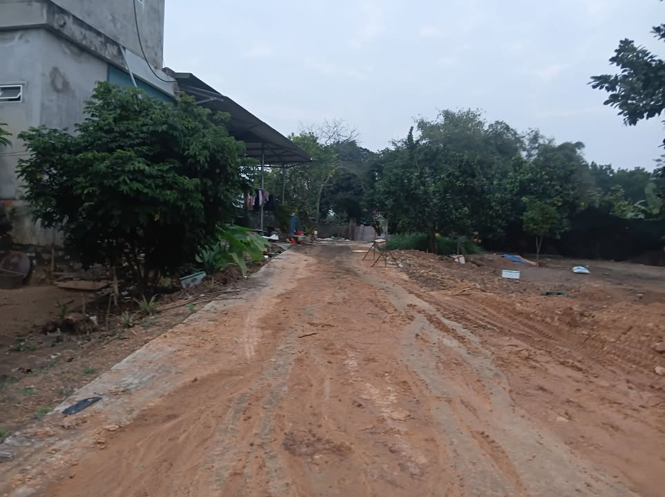 Đất nền chính chủ An Tường 152m² giá 1.4 tỷ - Vị trí đắc địa, tiện ích đầy đủ!