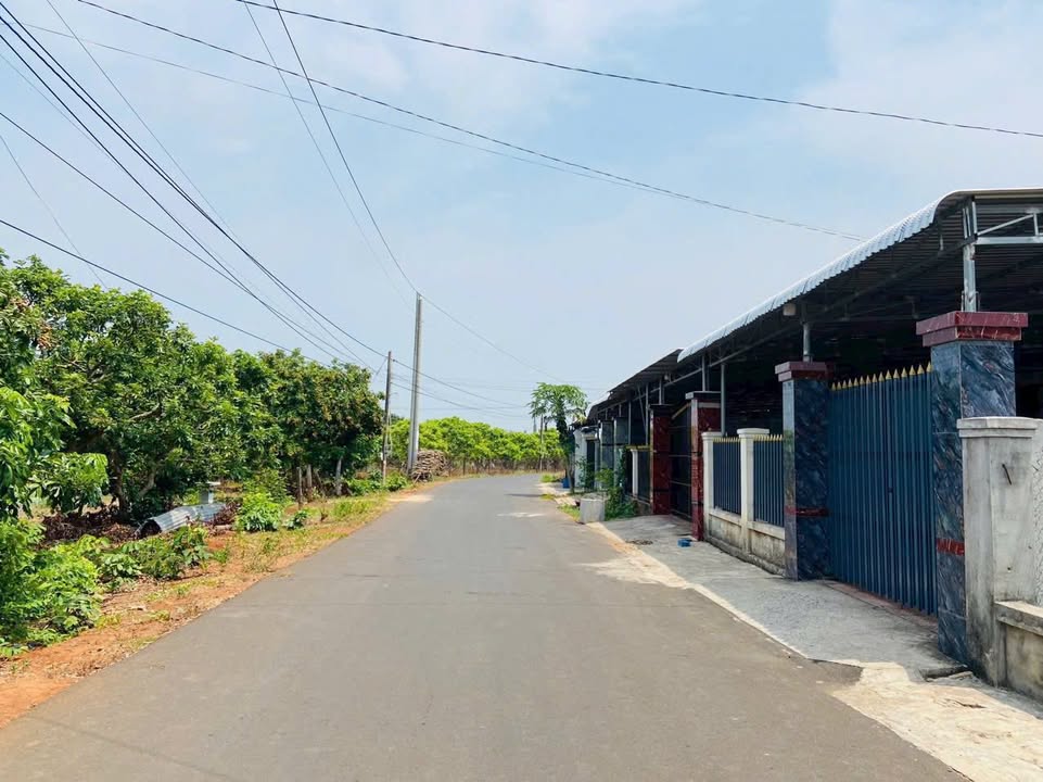 Đất nền xã Xuyên Mộc 540m² giá 1.76 tỷ - Gần chợ và trường học!