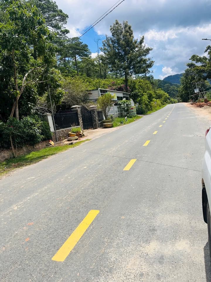 Đất nền mặt tiền Mimosa, phường 3, Đà Lạt 6700m² - Giá hấp dẫn, tiềm năng cao!