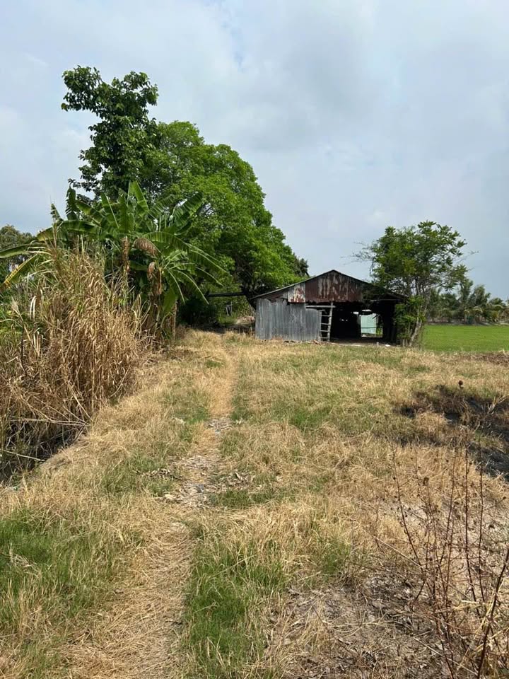 Đất kênh rạch phường Mỹ Thới, Long Xuyên, 22.000m² - Đầu tư sinh lời hấp dẫn!