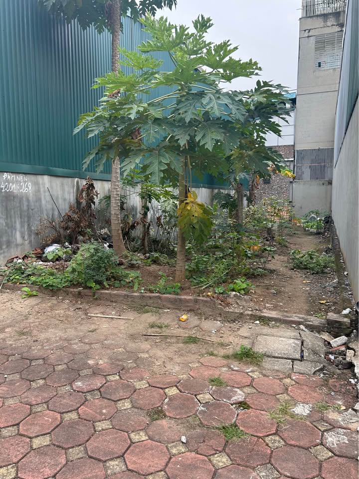 Đất nền Kiêu Kỵ Gia Lâm 90m² - Vị trí đắc địa, giá thỏa thuận!