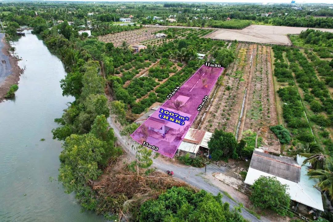 Nhà vườn Thạnh Hòa Bến Lức 1000m² giá 1.5 tỷ - View sông thoáng mát!