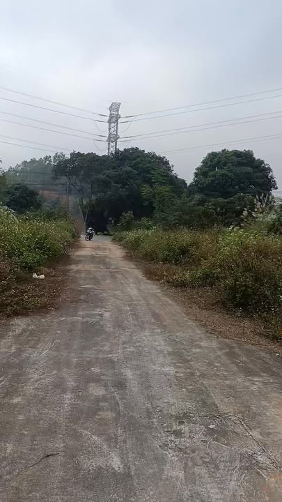 Đất liền kề Phong Châu 200m² giá 700 triệu - Đầu tư sinh lời ngay!