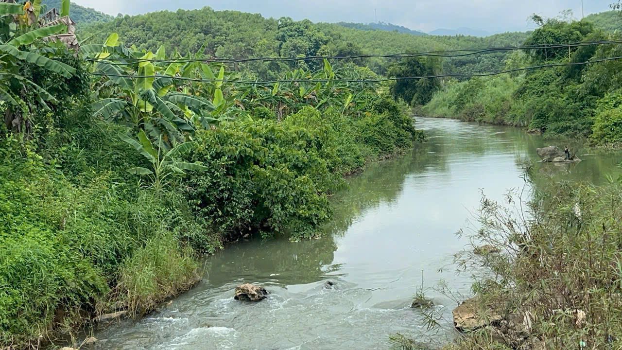 Đất thổ cư 1000m² tại Tân Lạc, Hoà Bình - Giá chỉ 1 tỷ, đầu tư sinh lời!