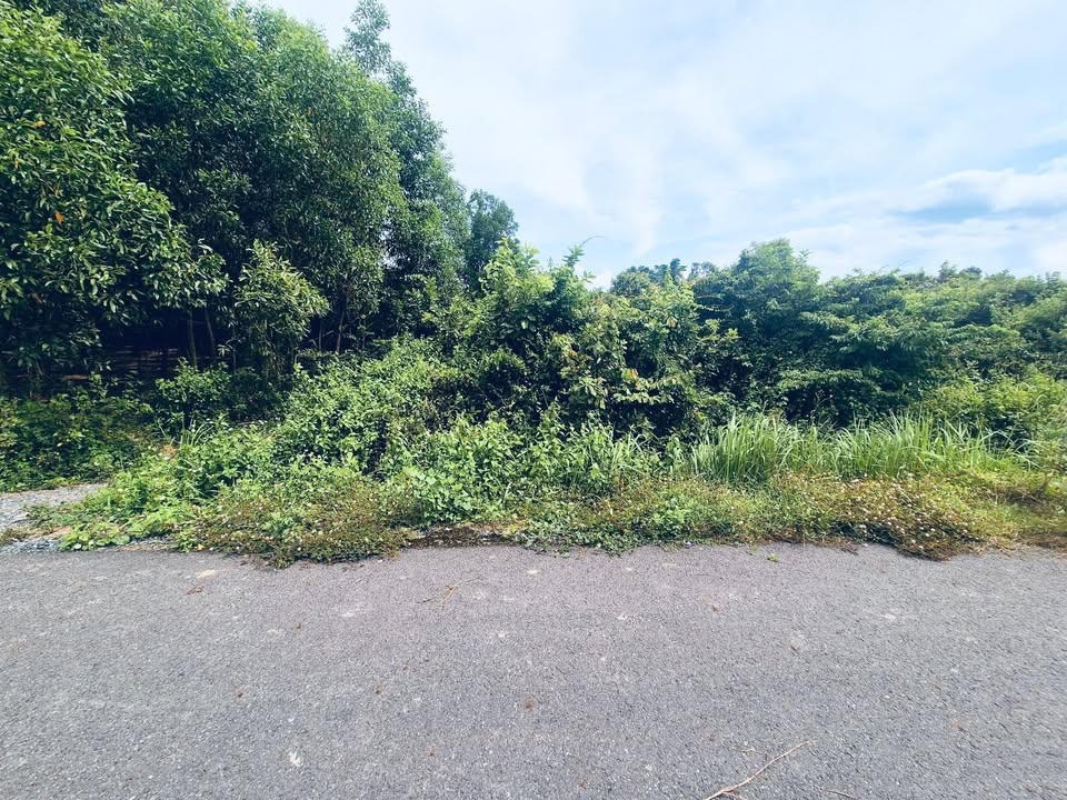 Đất thổ cư 500m² tại Phạm Văn Cội, Củ Chi - Giá thương lượng hấp dẫn!