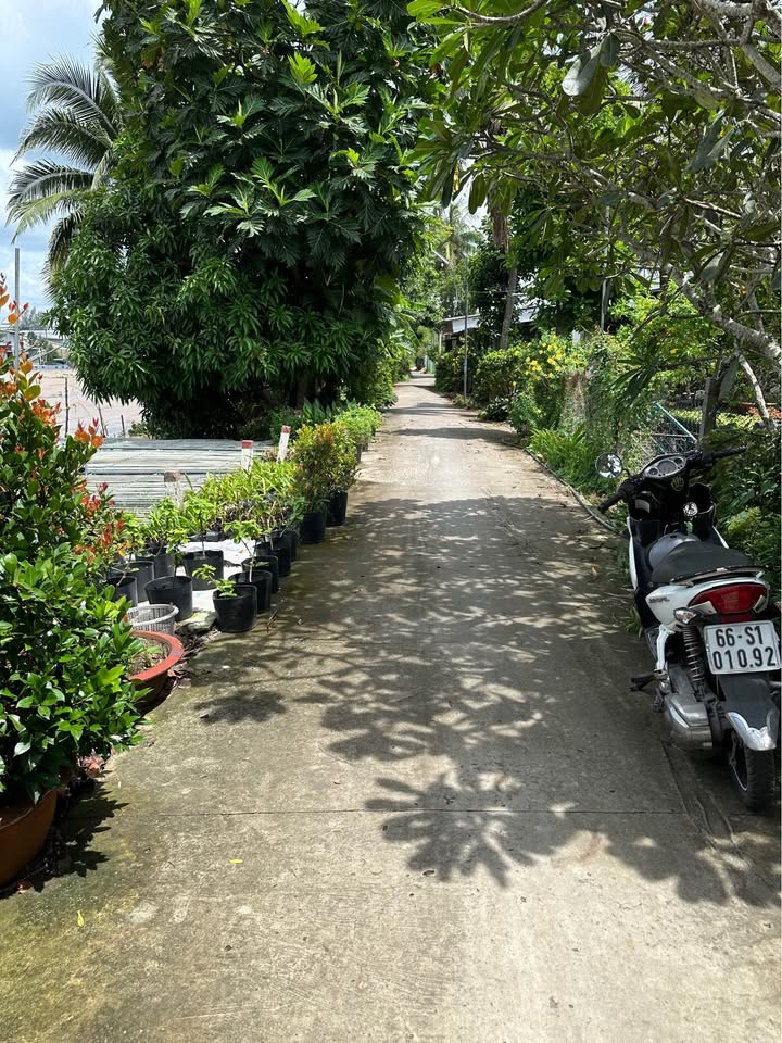 Đất nền đường Đoàn Thị Điểm, Sa Đéc 397m² giá 2.2 tỷ - Diện tích lớn, vị trí đẹp!