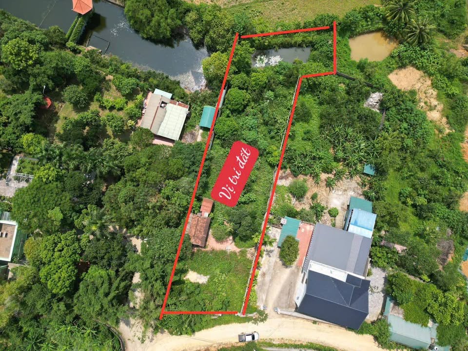 Đất thổ cư 200m² tại Hoà Sơn, Lương Sơn 1500m² - Giá hời chỉ 8 tỷ!