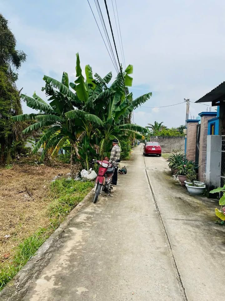 Đất mặt tiền 1000m² tại Vườn Thơm, Bình Chánh - Giá chỉ 8.6 tỷ, cơ hội đầu tư hấp dẫn!