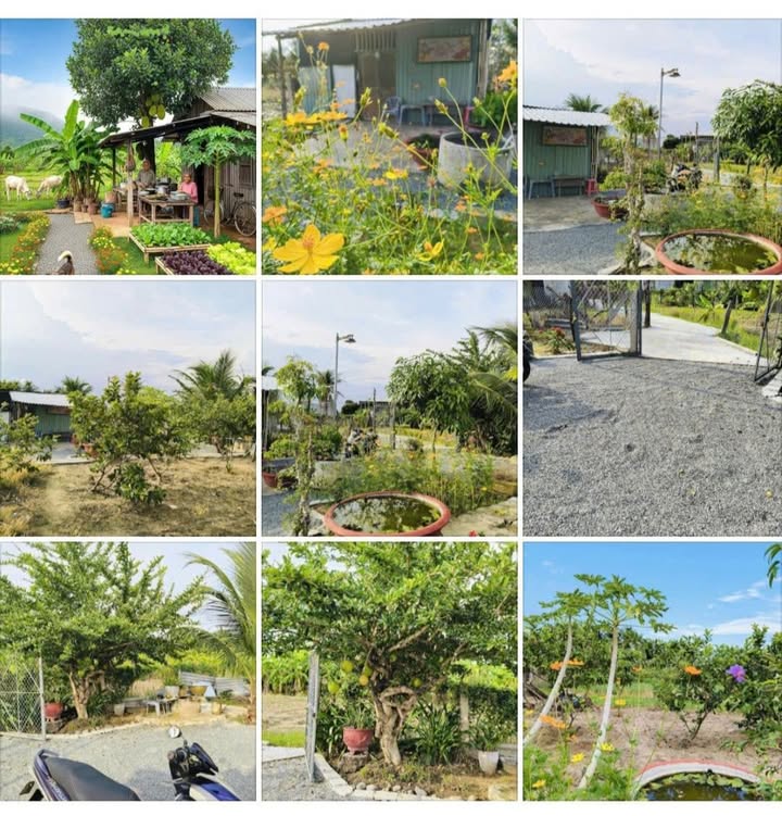 Đất vườn Phường Bảo An 805m² giá 790 triệu - Không gian nghỉ dưỡng lý tưởng!